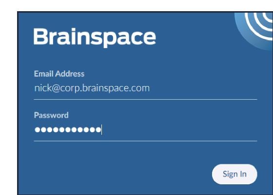 Brainspace_login_-_small.jpg